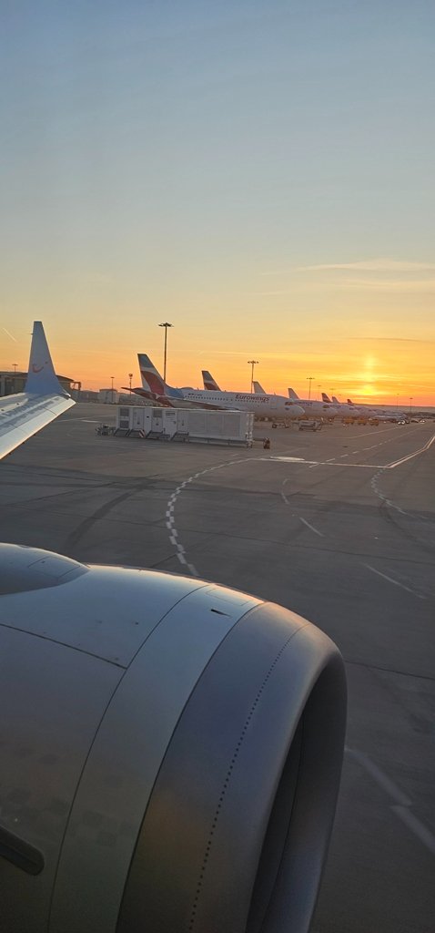 20250428_060833.jpg