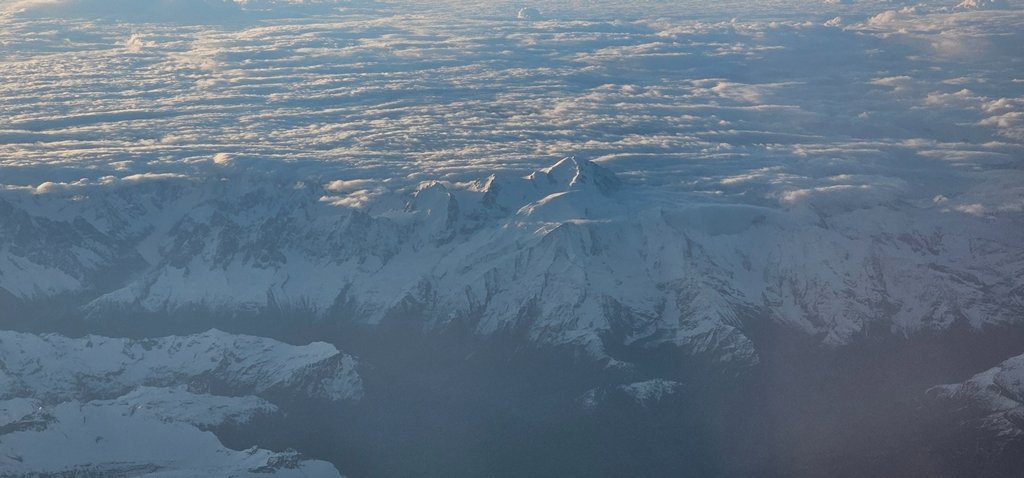 20250428_064359.jpg