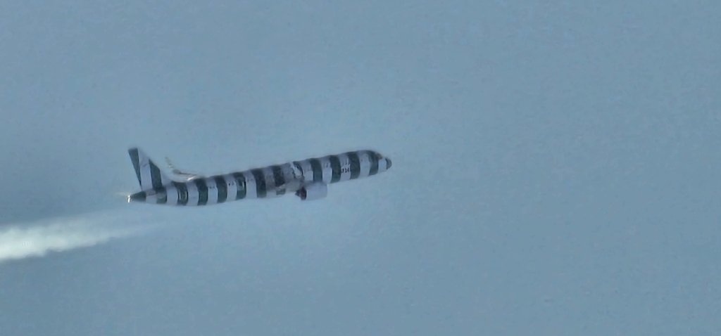 20250428_071646.jpg