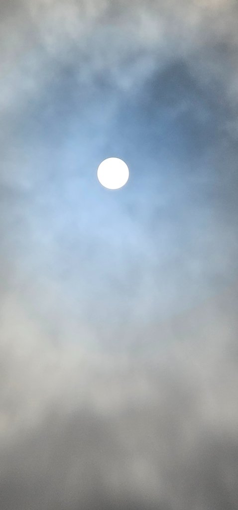 20250429_094108.jpg