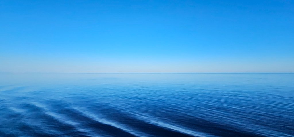 20250430_190624.jpg
