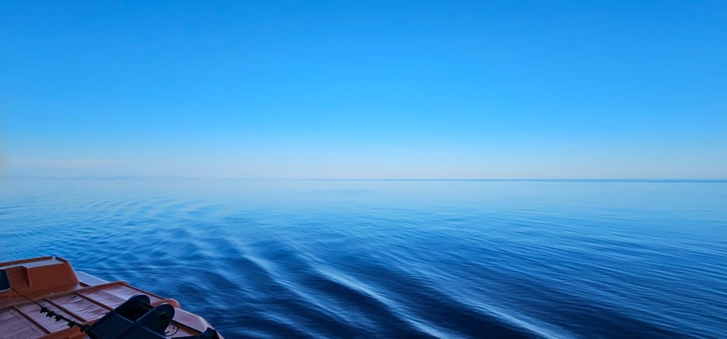 20250430_190627.jpg