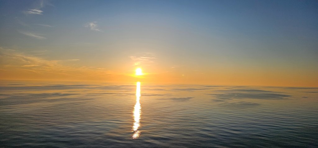 20250430_202001.jpg