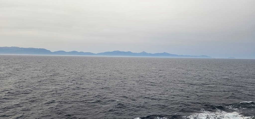 20250501_073528.jpg