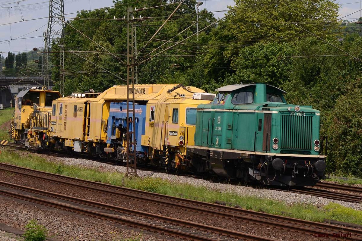 213 339-5.jpg