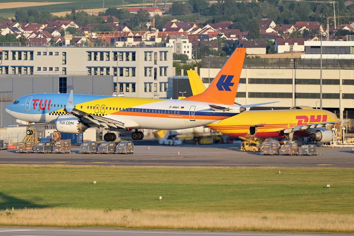 D-AMAH EI-LDD.jpg