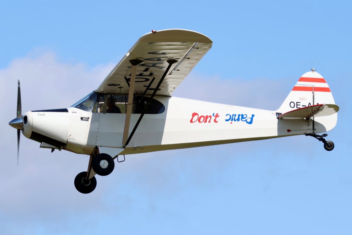8S1A3847.jpg
