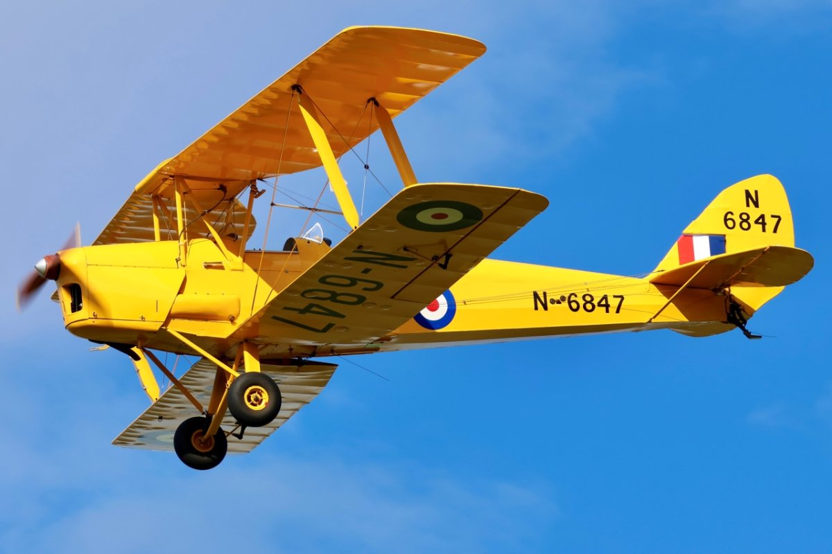 8S1A3938.jpg