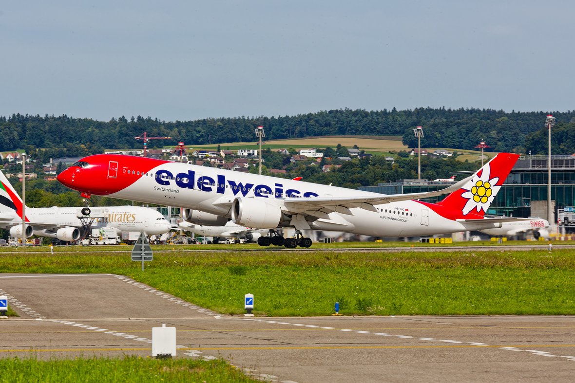 W26B5303_DxO_small.jpg