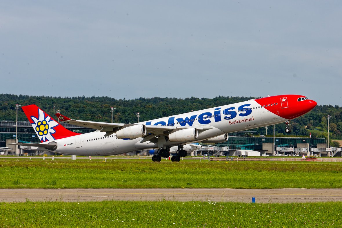 W26B5356_DxO_small.jpg