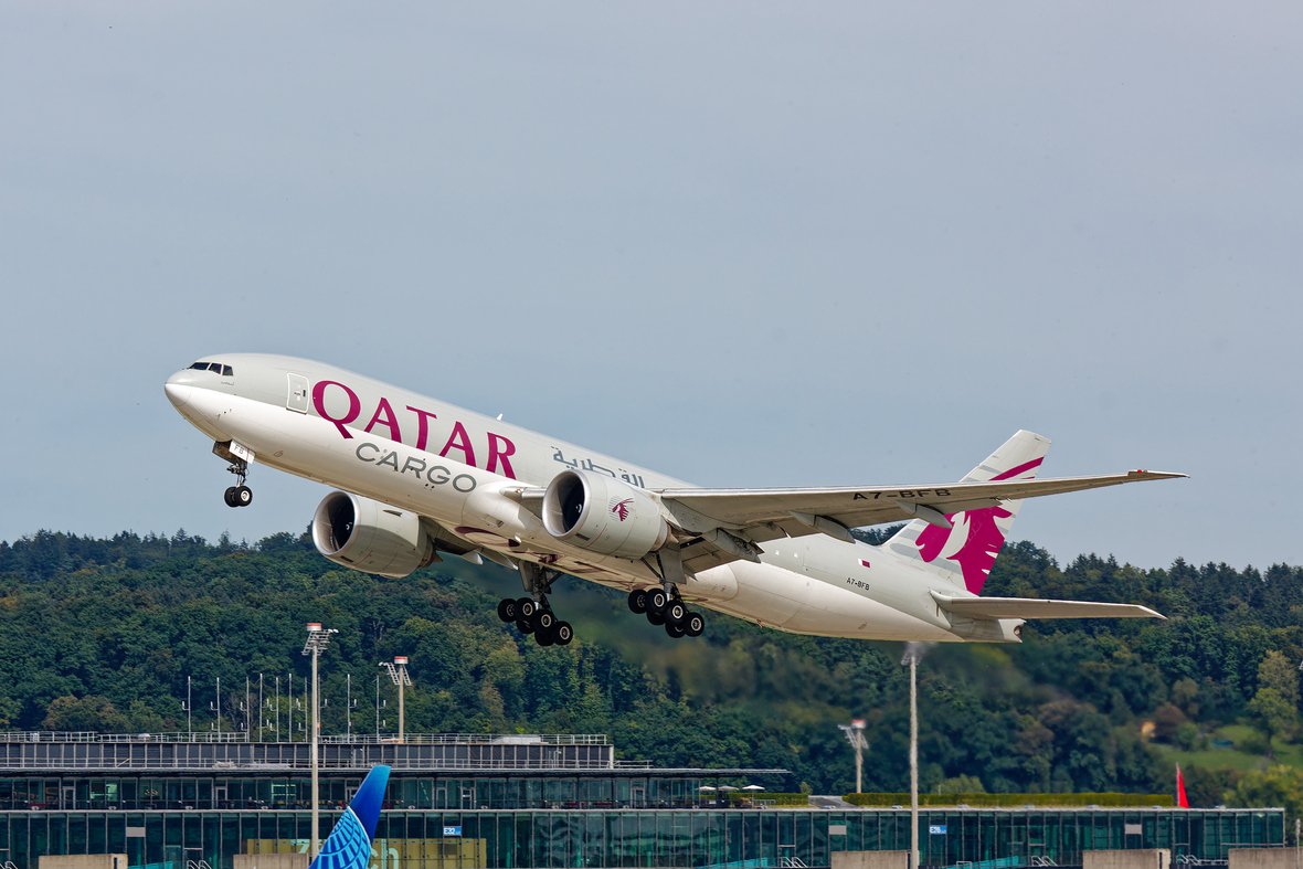 W26B5485_DxO_small.jpg