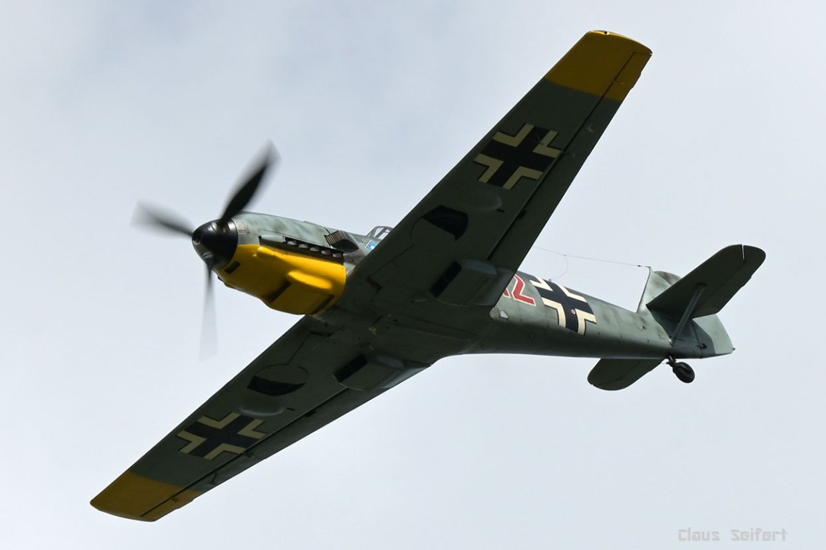 D-FEML.jpg