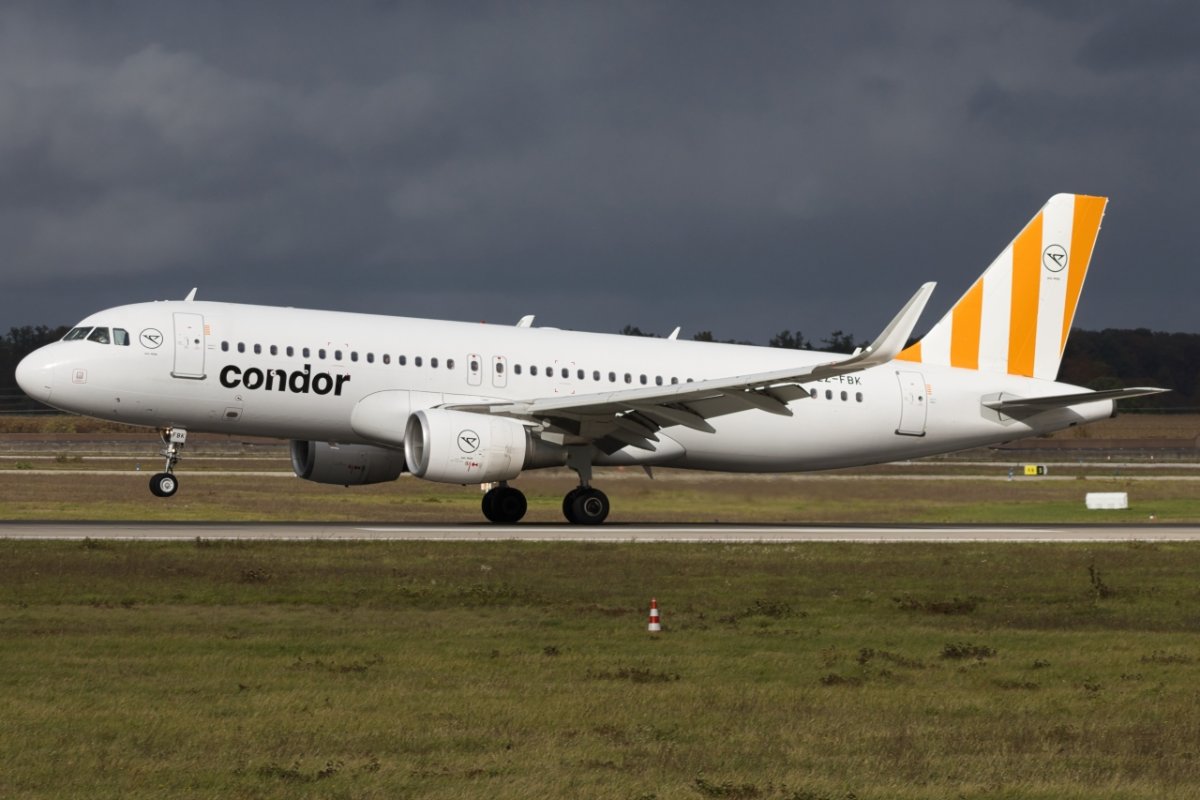 8S1A8737.jpg