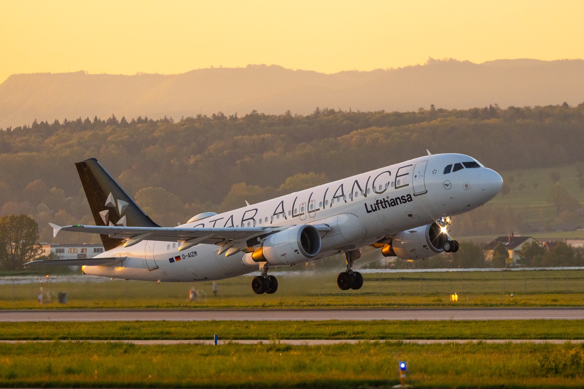 D-AIZM.jpg