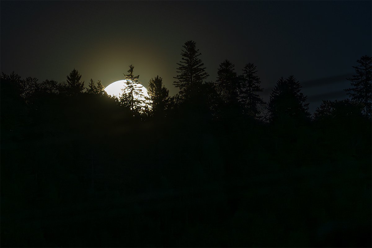 _B0A0021-2.jpg