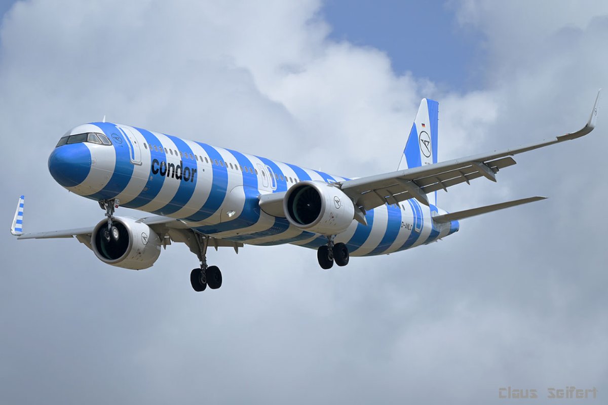 D-ANLC.jpg