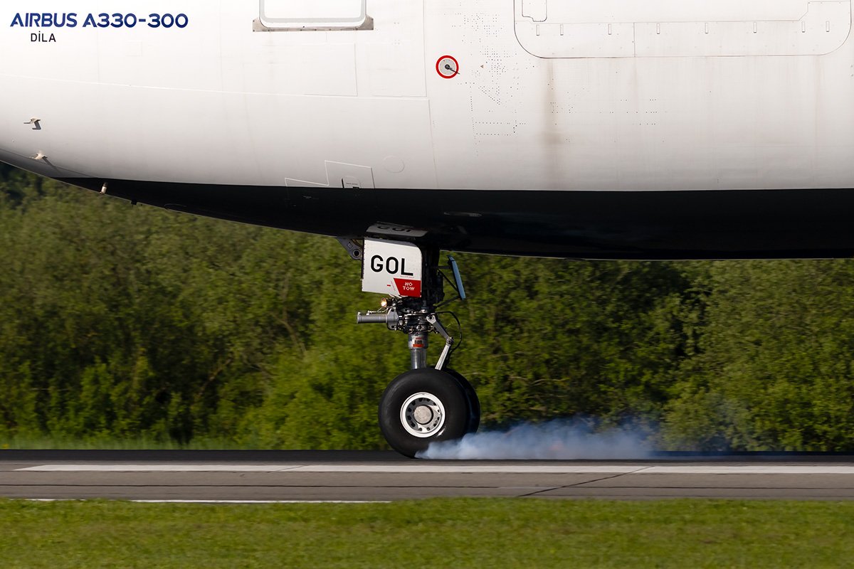 _B0A3513.jpg