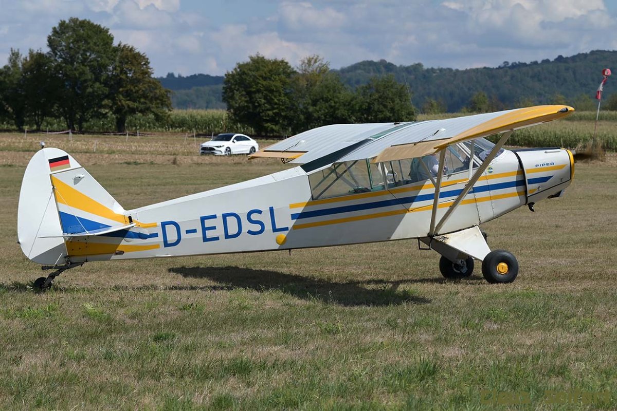D-EDSL.jpg