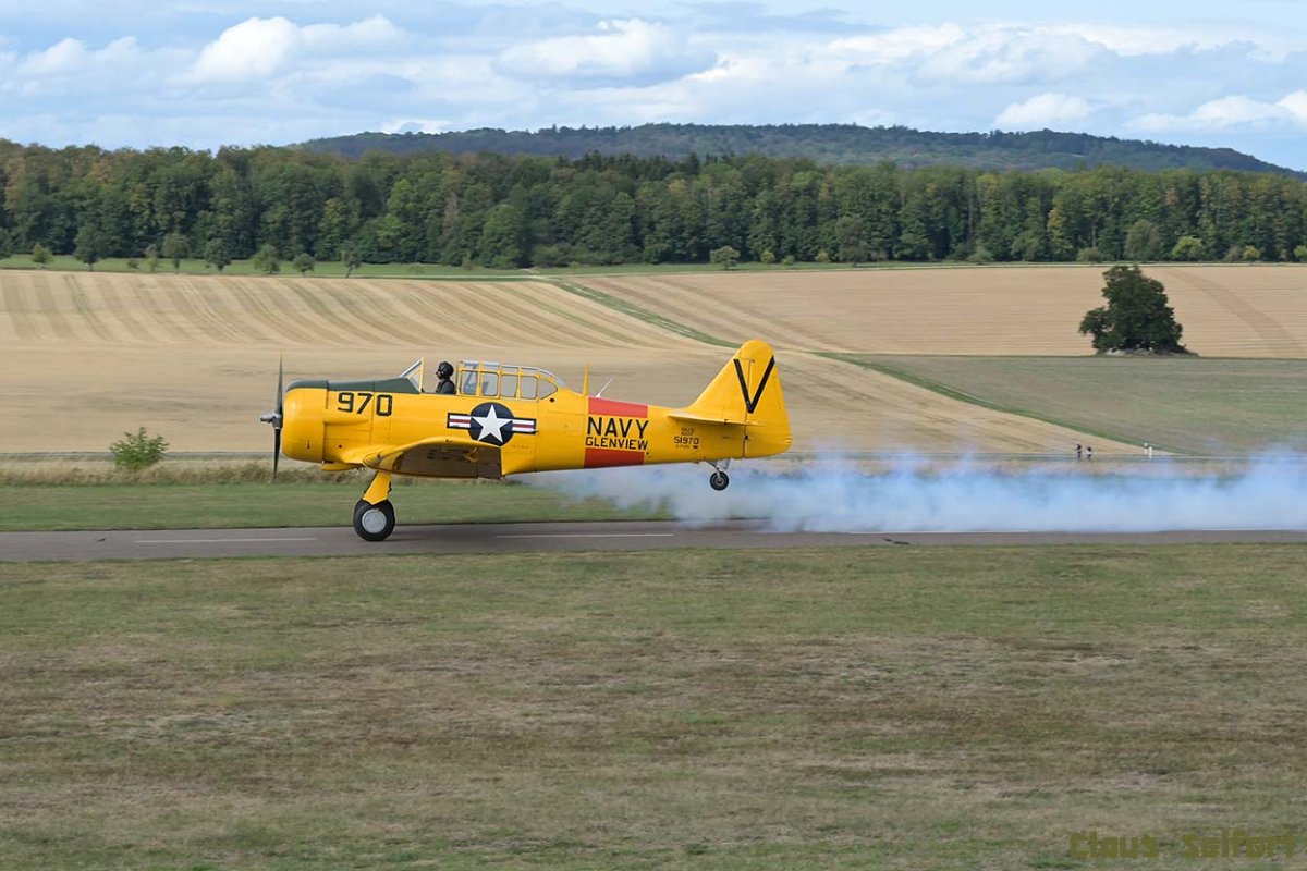 D-FURI.1.jpg