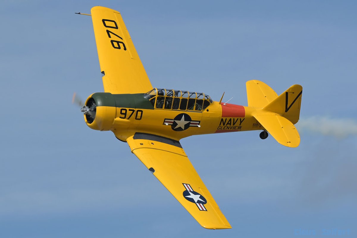 D-FURI.3.jpg