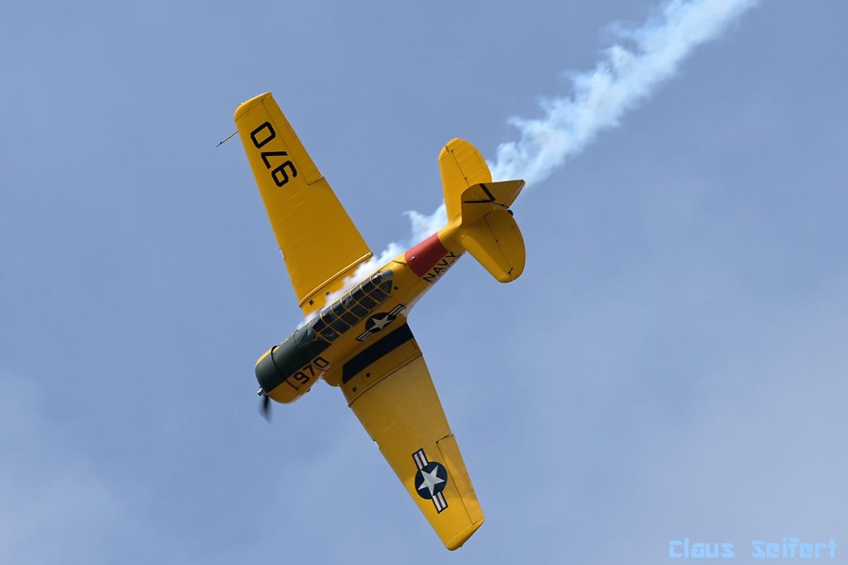 D-FURI.4.jpg