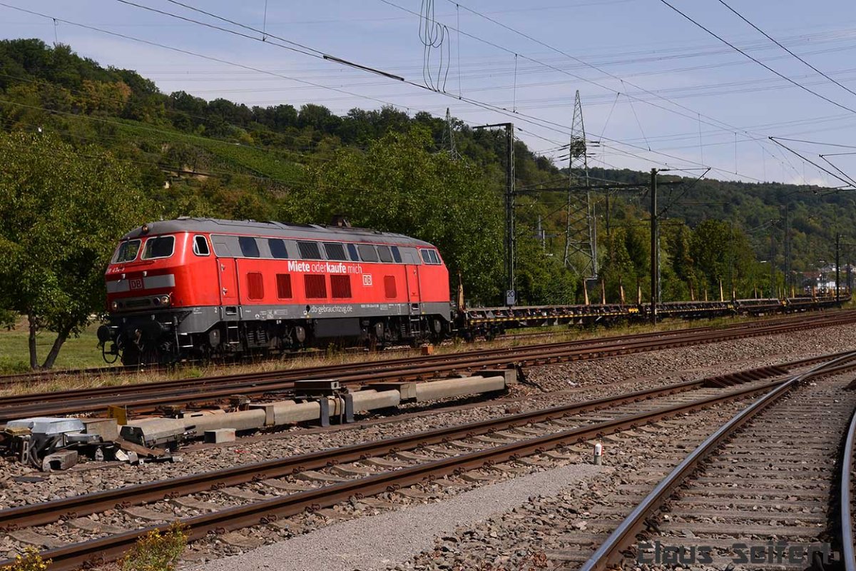 218 434-9.jpg