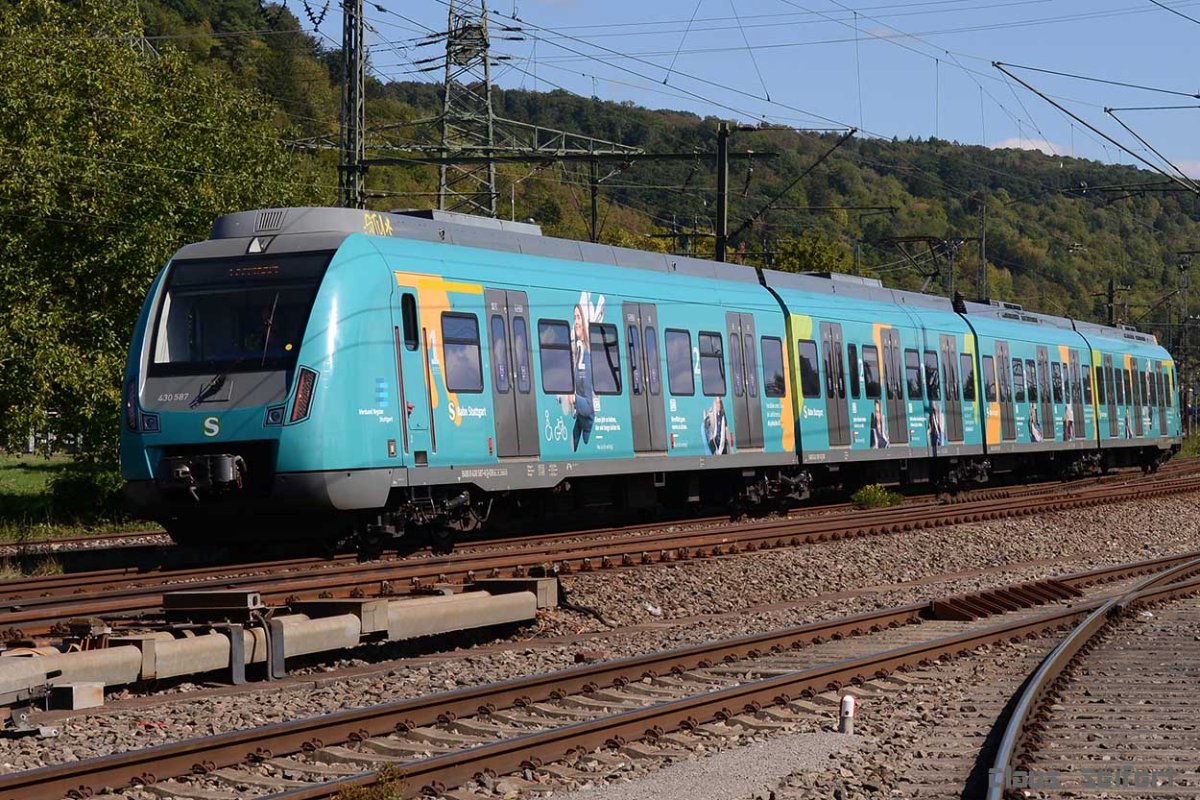 430 587.jpg
