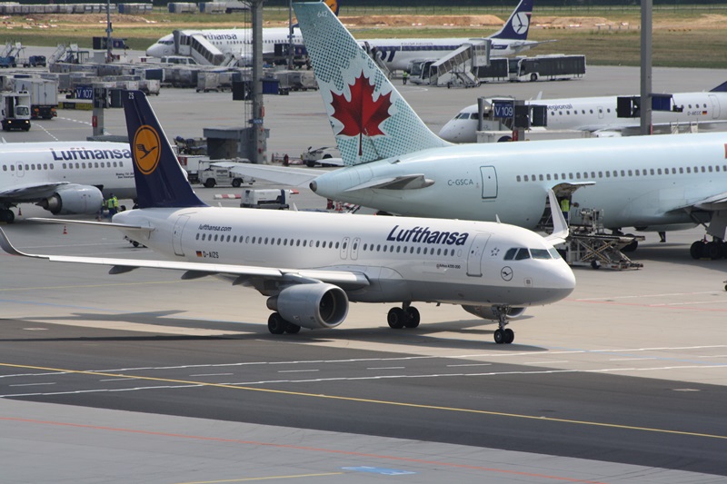 Mein erster Sharklet